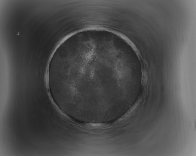 X0000100491295200806131242