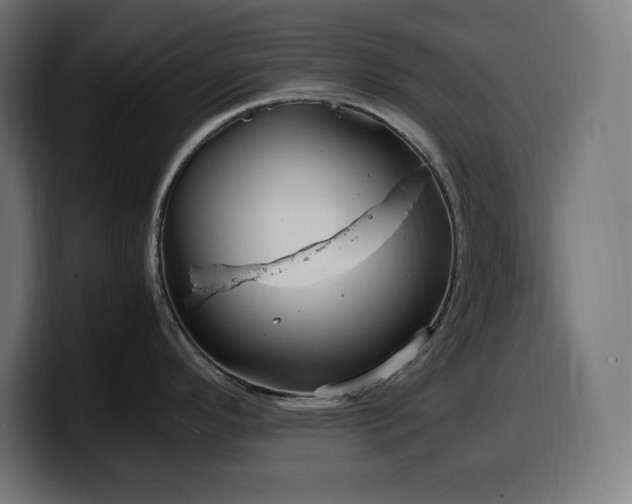 X0000100491296200806131242