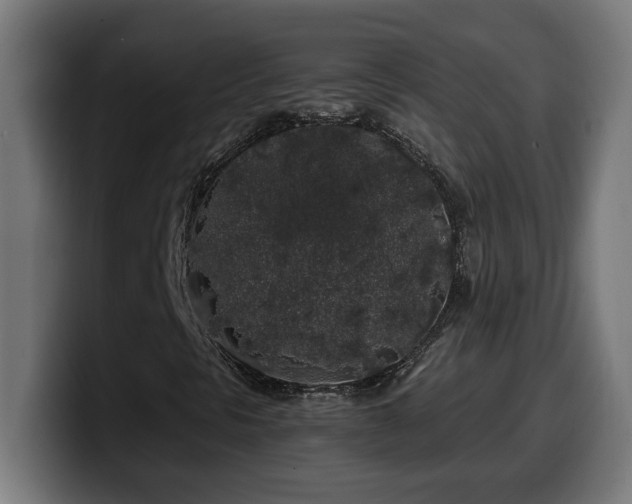 X0000100491297200806131242