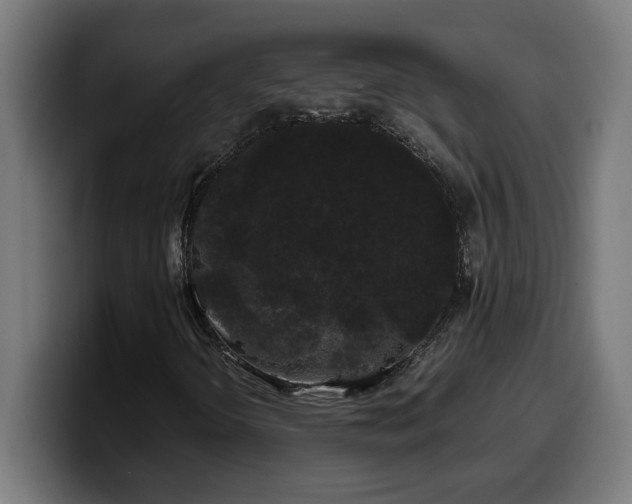 X0000100491298200806131242