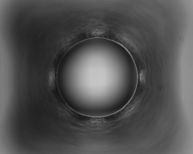 X0000100491299200806131242