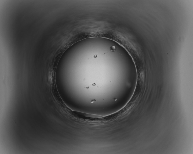X0000100491300200806131242