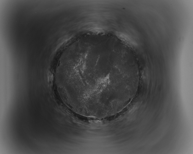 X0000100491302200806131242