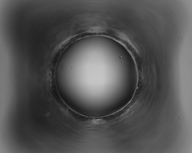 X0000100491304200806131242