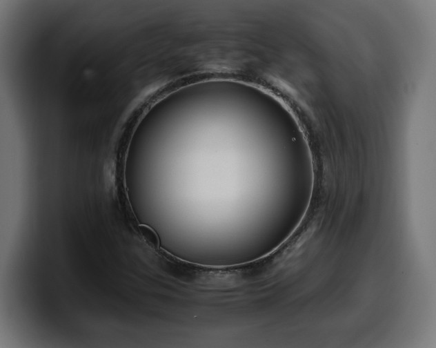X0000100491307200806131242