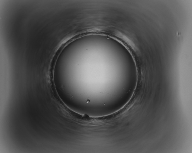 X0000100491308200806131242