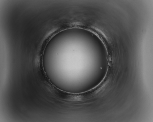 X0000100491309200806131242