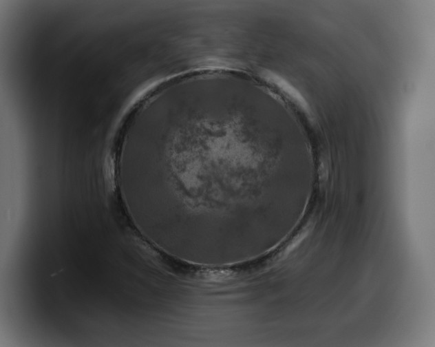X0000100491310200806131242