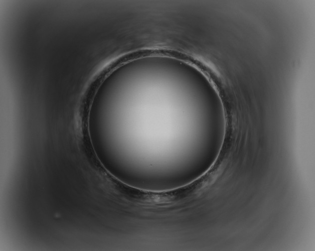 X0000100491311200806131242