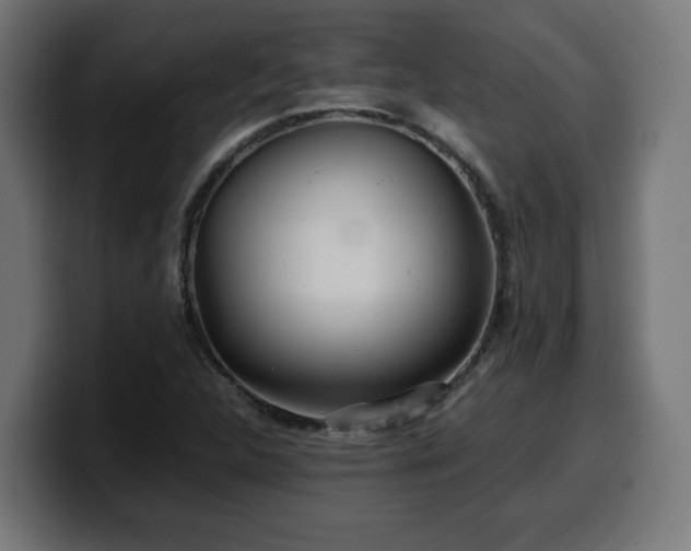 X0000100491312200806131242