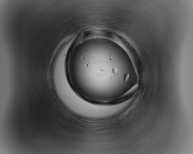 X0000100491314200806131242