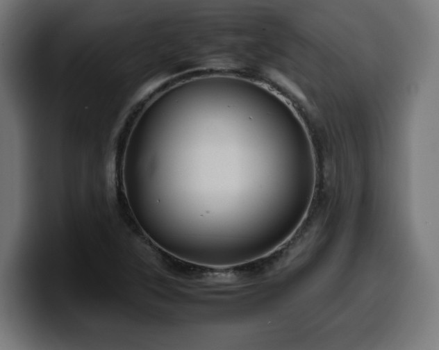 X0000100491315200806131242