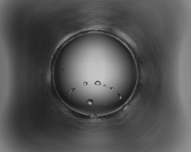 X0000100491316200806131242
