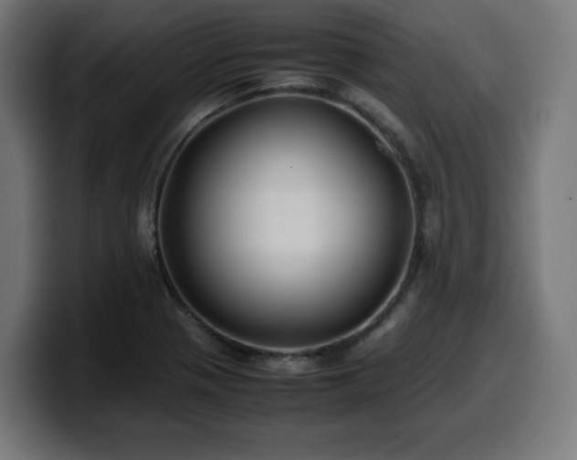 X0000100491321200806131242