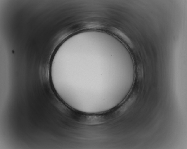 X0000100491322200806131242