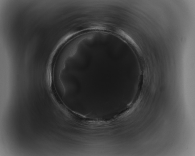 X0000100491323200806131242