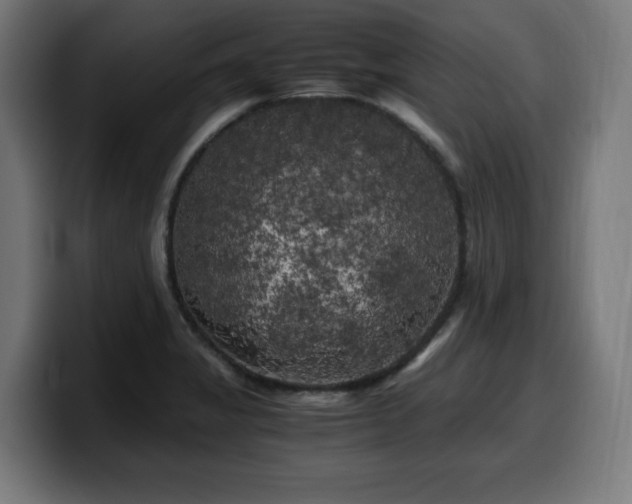 X0000100491325200806131242