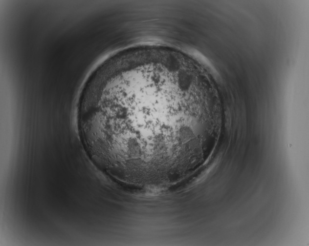 X0000100491326200806131242