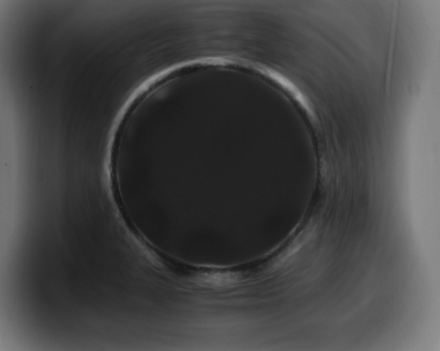 X0000100491327200806131242