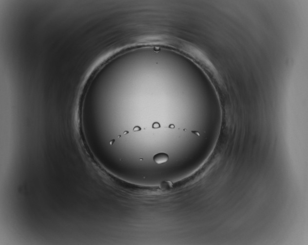 X0000100491328200806131242