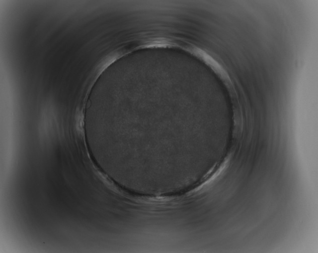 X0000100491329200806131242