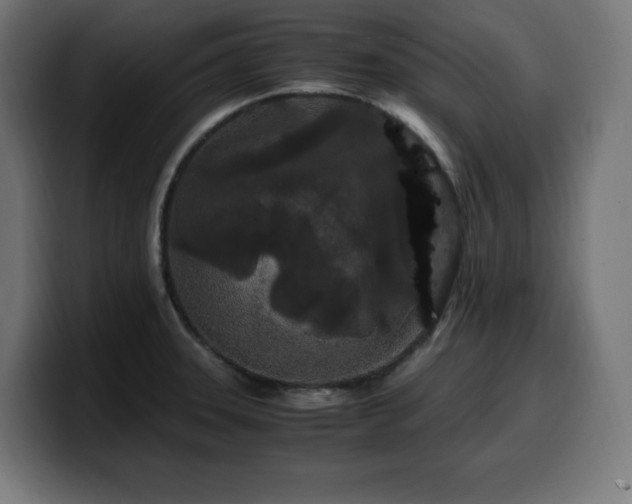 X0000100491331200806131242