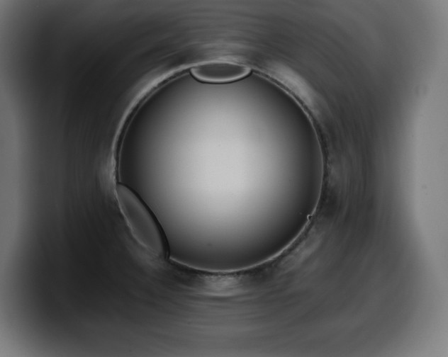 X0000100491332200806131242