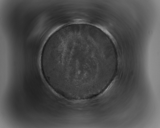 X0000100491333200806131242