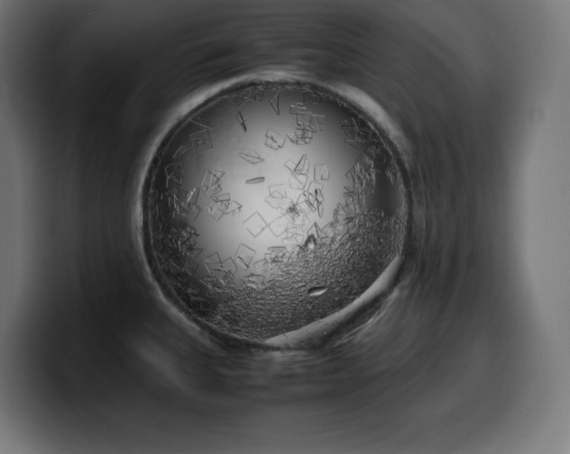 X0000100491335200806131242