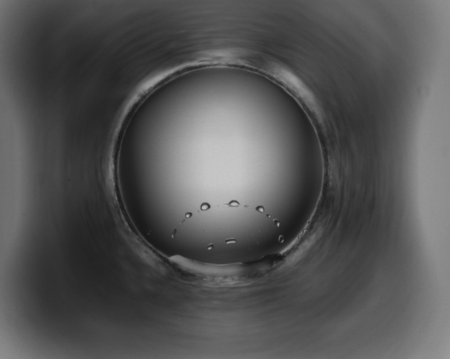 X0000100491336200806131242