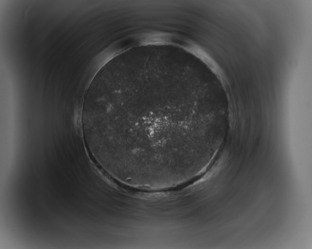 X0000100491337200806131242