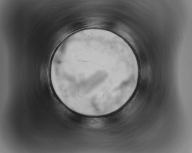 X0000100491338200806131242