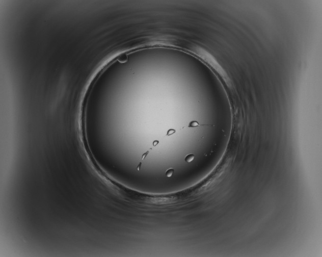 X0000100491339200806131242