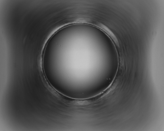 X0000100491340200806131242