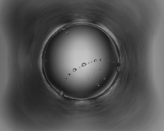 X0000100491341200806131242