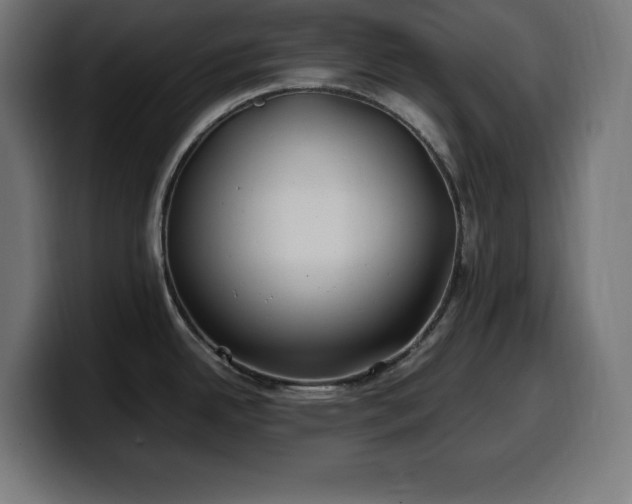 X0000100491342200806131242