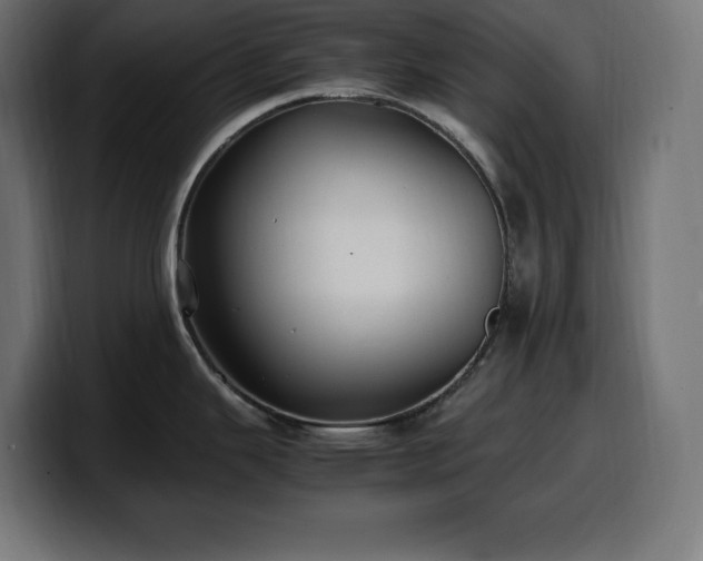 X0000100491343200806131242
