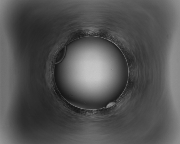 X0000100491345200806131242