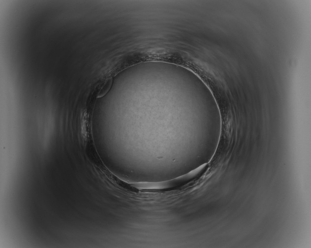 X0000100491346200806131242