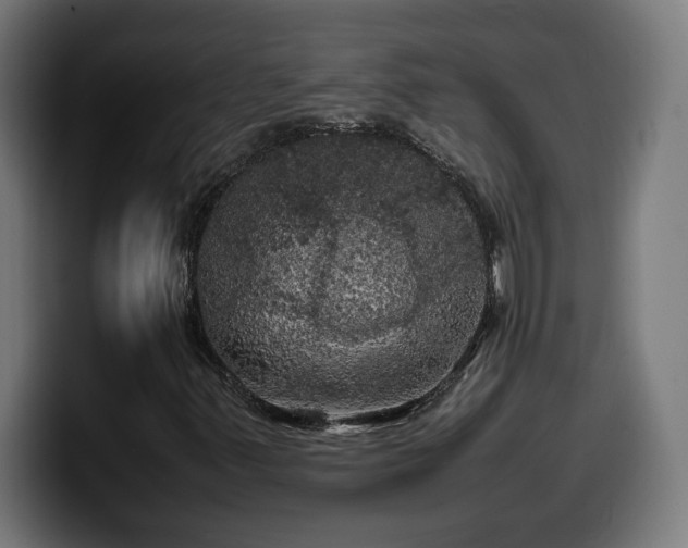 X0000100491347200806131242