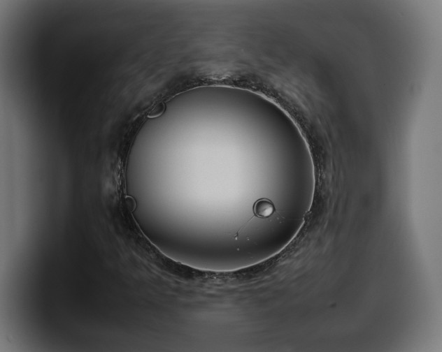 X0000100491349200806131242