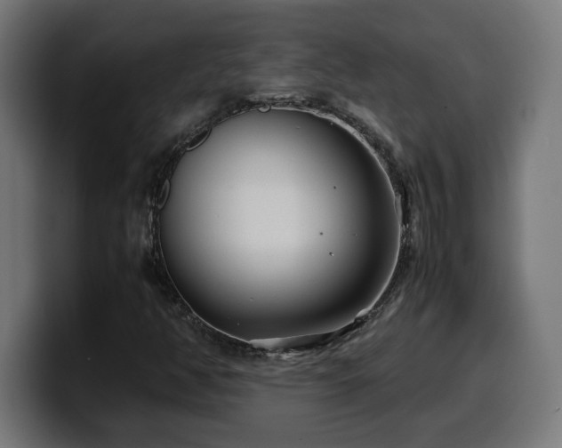 X0000100491350200806131242