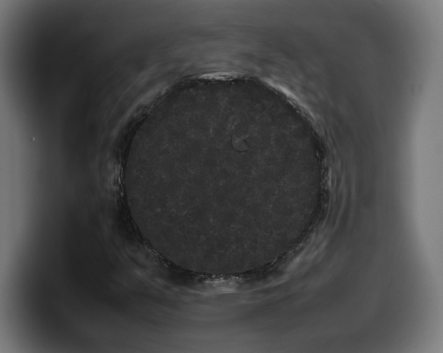 X0000100491351200806131242