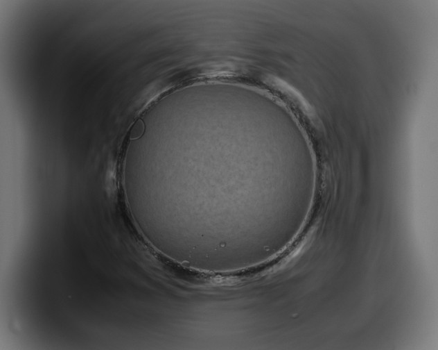 X0000100491353200806131242