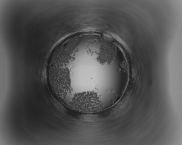 X0000100491356200806131242