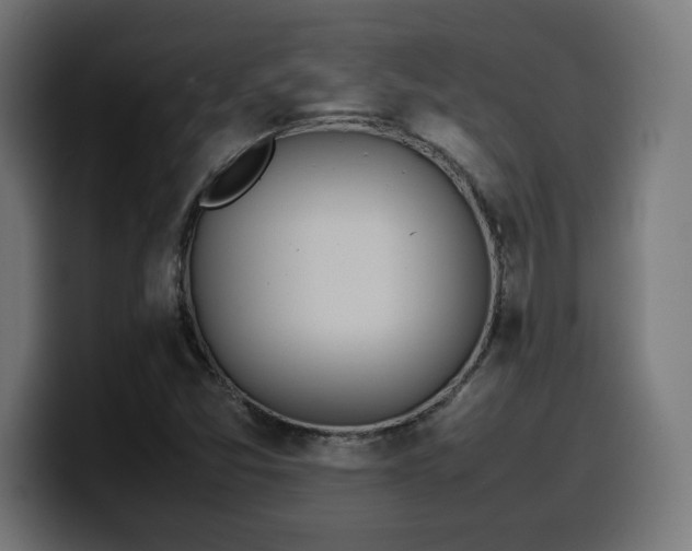 X0000100491357200806131242
