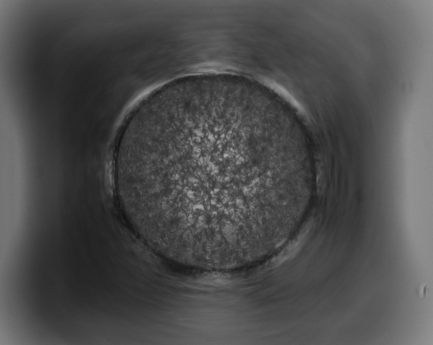 X0000100491358200806131242