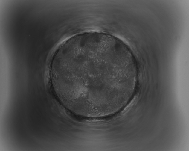 X0000100491359200806131242