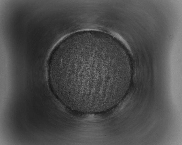 X0000100491360200806131241