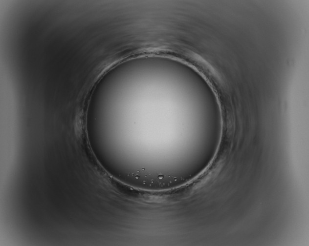 X0000100491361200806131241